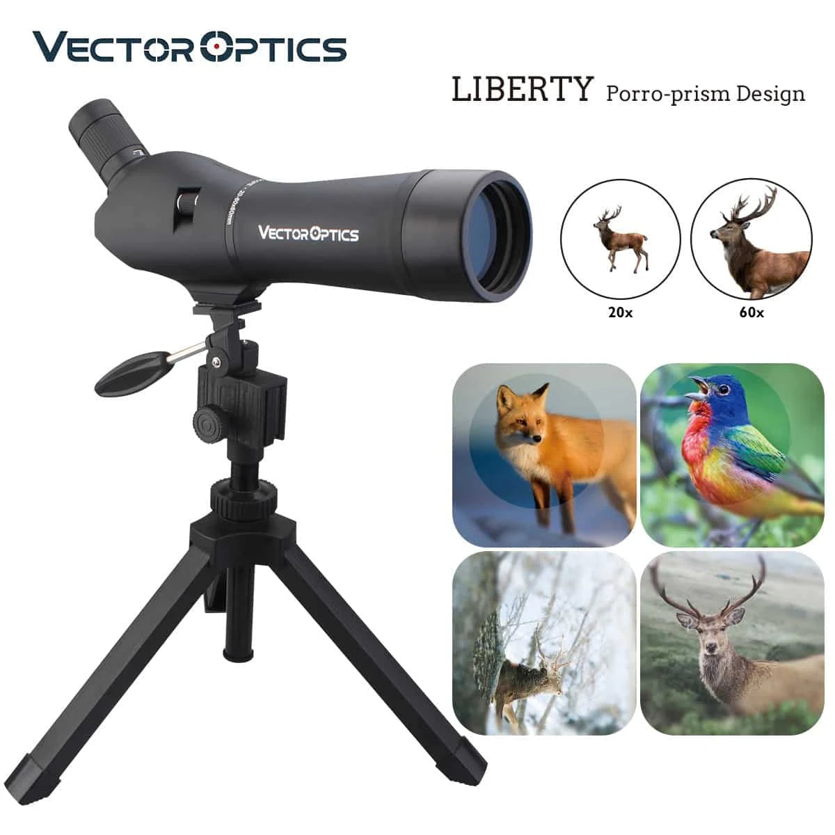 Telescopio Terrestre Forester 20-60x60
